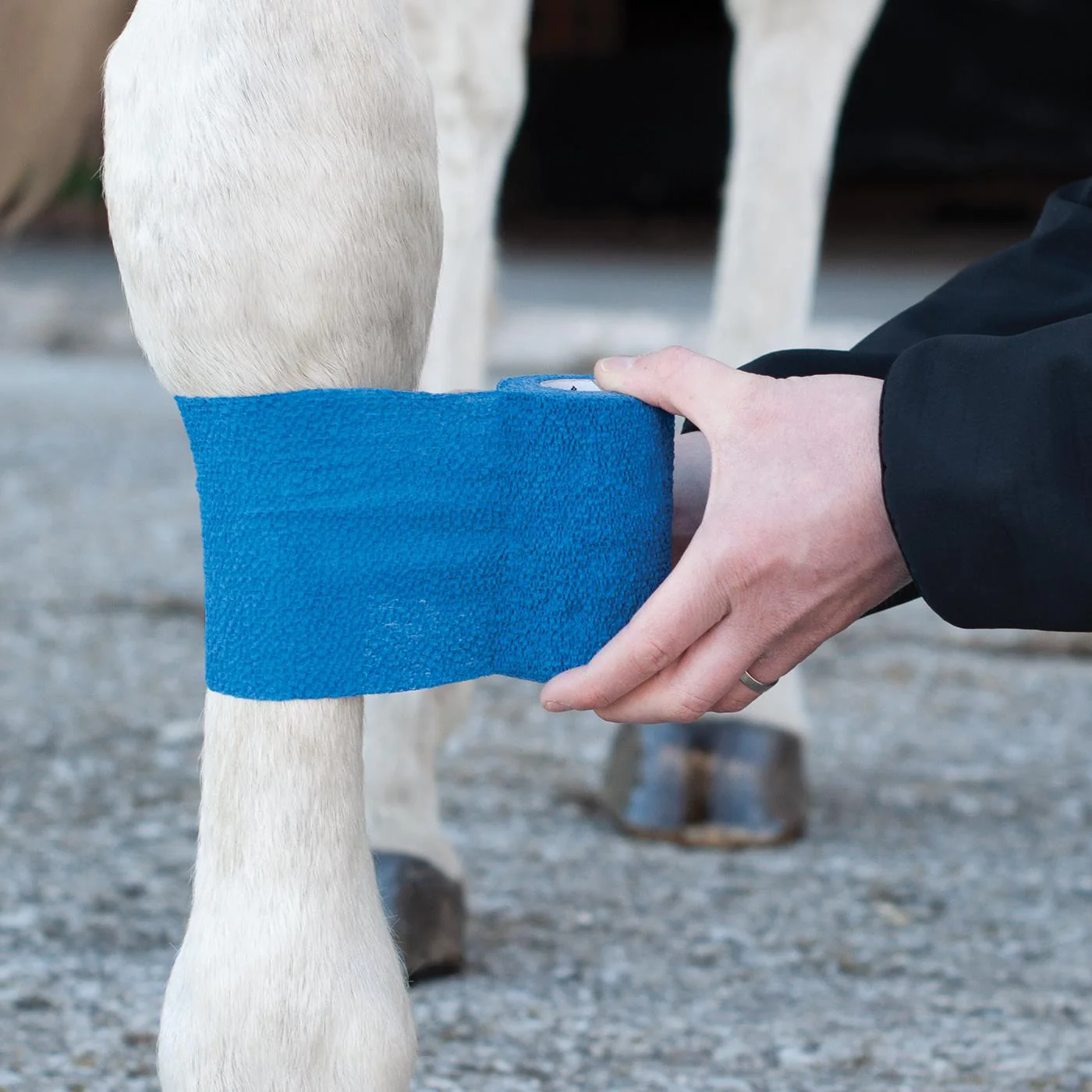 Shedrow Flexwrap - Image 5