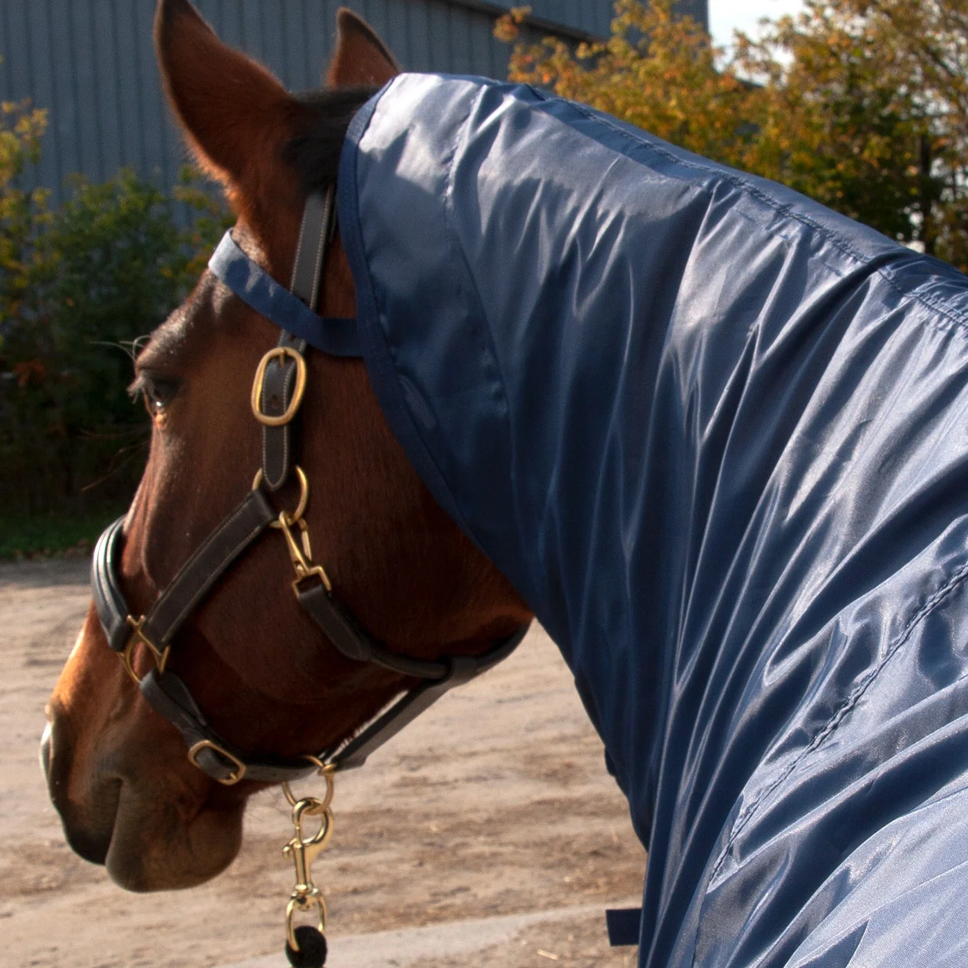 Shedrow Ringside Rainsheet 0 g - Image 3