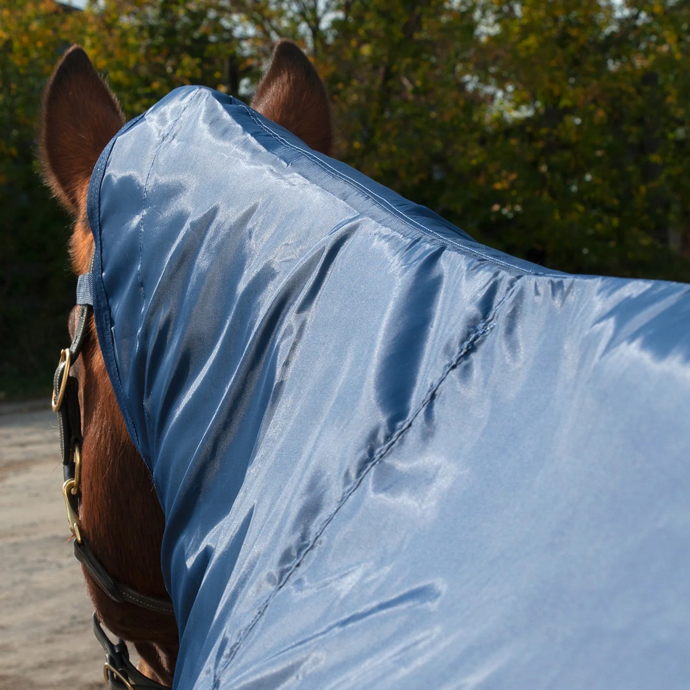 Shedrow Ringside Rainsheet 0 g - Image 4