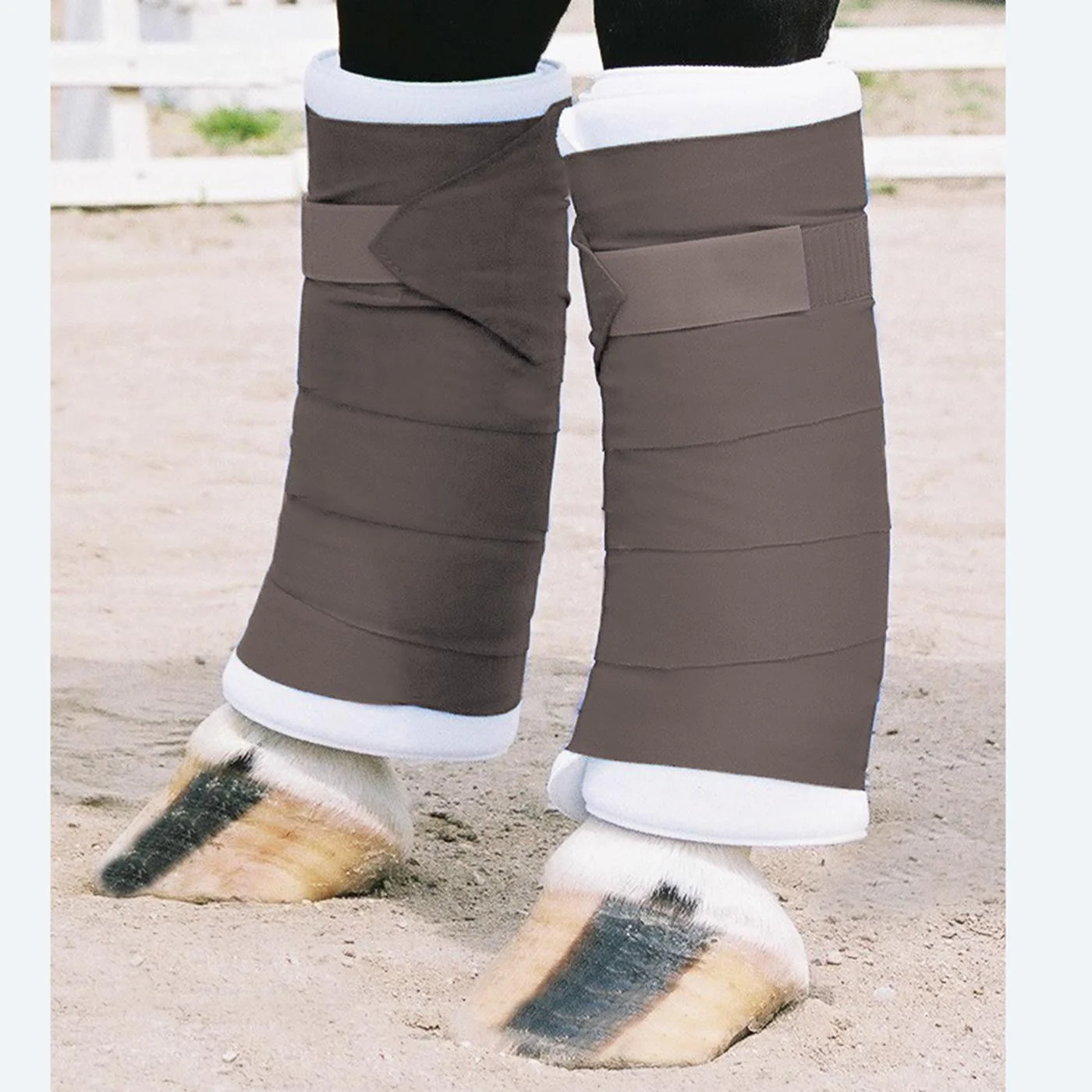 Shedrow Standing Bandages - Image 16