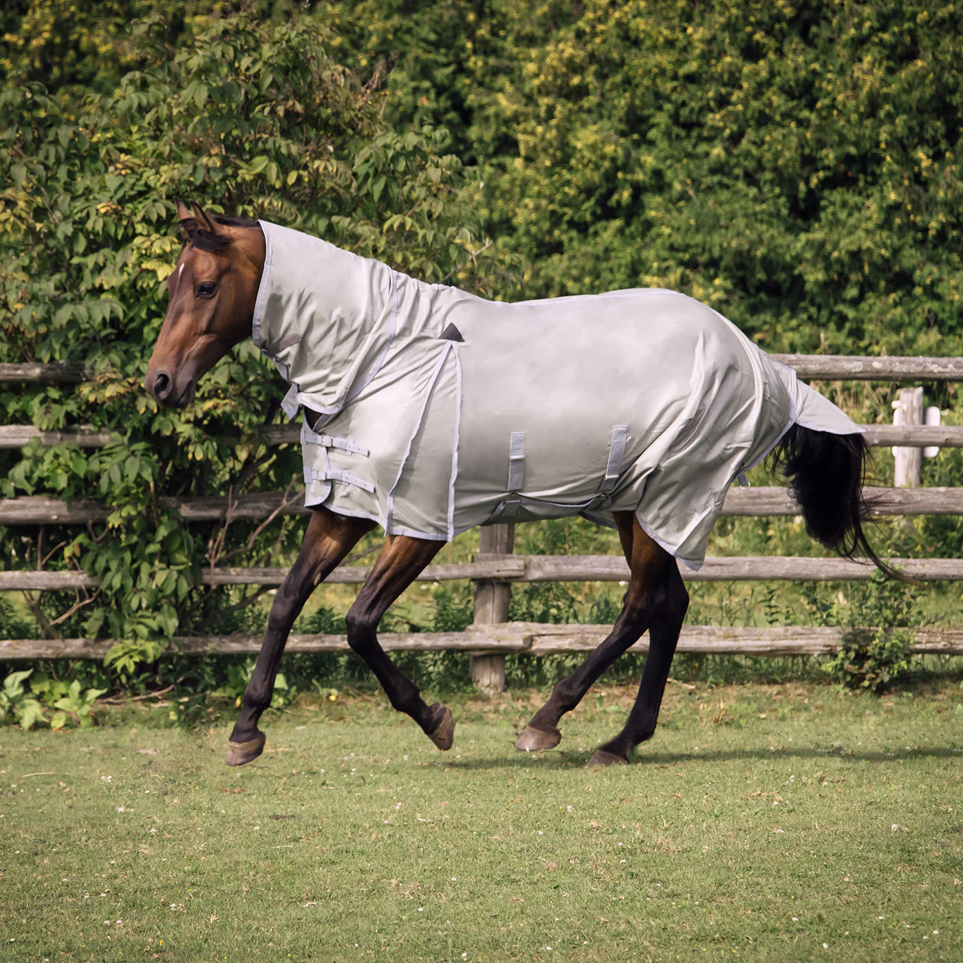 Supra Full Neck Mesh Fly Sheet - Image 3