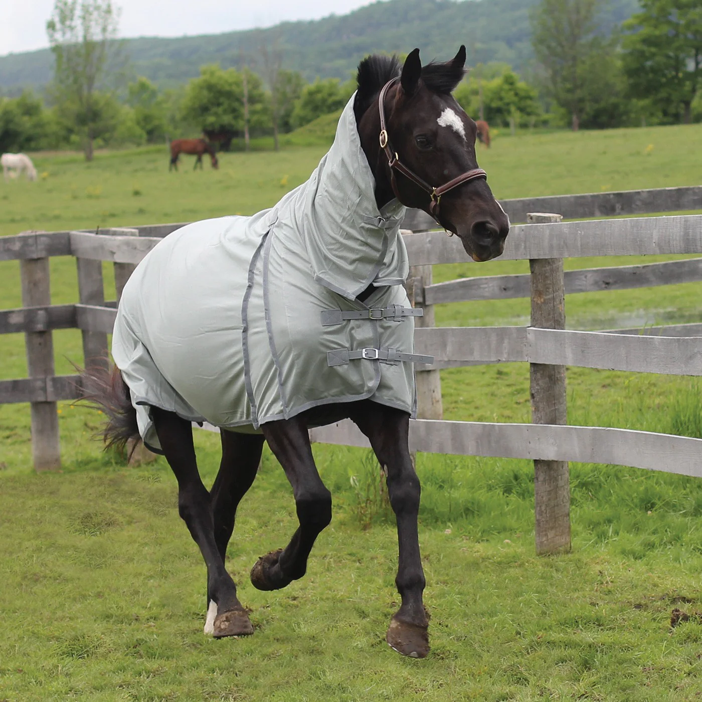 Supra Full Neck Mesh Fly Sheet - Image 7